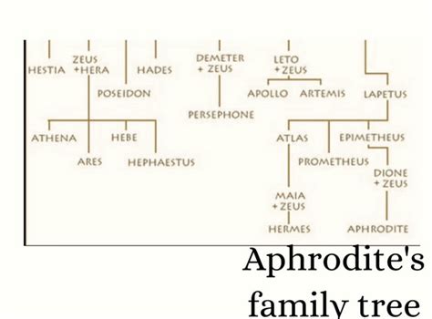 who were aphrodite's brothers.